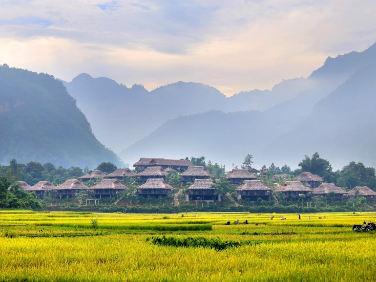 Riding the Green Waves: The Ultimate Guide to a Rice Field Cycling Tour in Mai Chau